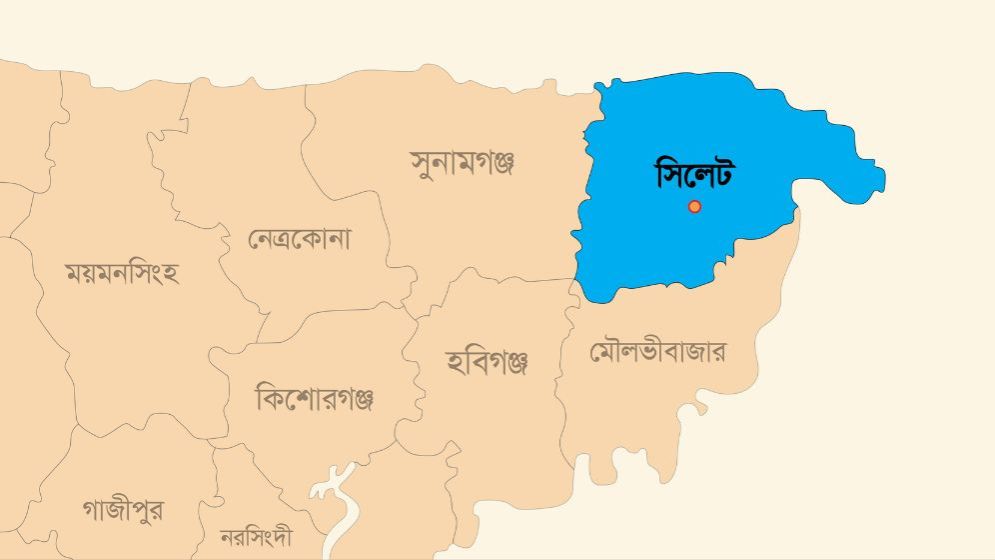 হাসপাতালে নেওয়ার কথা বলে নারীকে ‘ধর্ষণ’, গ্রেপ্তার ২