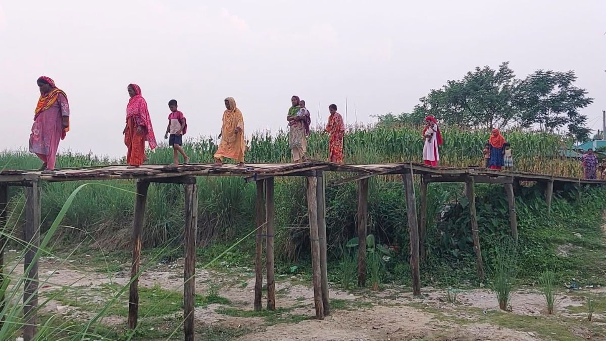 ঝুঁকিপূর্ণ কাঠের সেতু দিয়ে স্কুলে যাতায়াত
