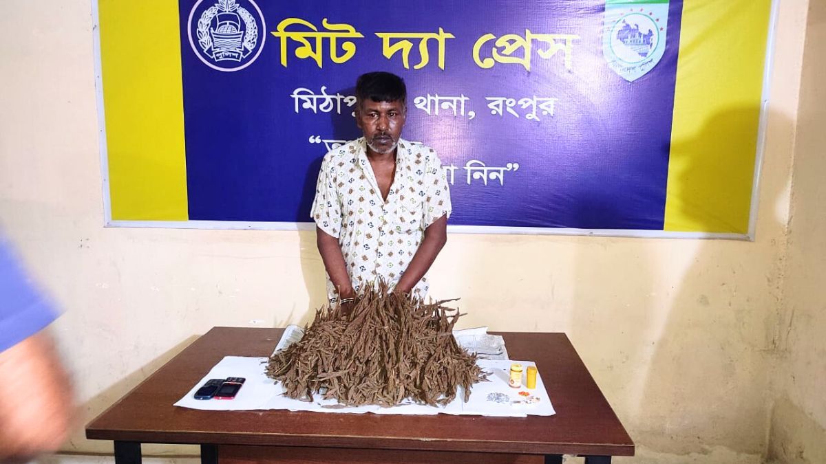 মিঠাপুকুরে সেনা অভিযানে কুখ্যাত মাদক ব্যবসায়ী গ্রেপ্তার
