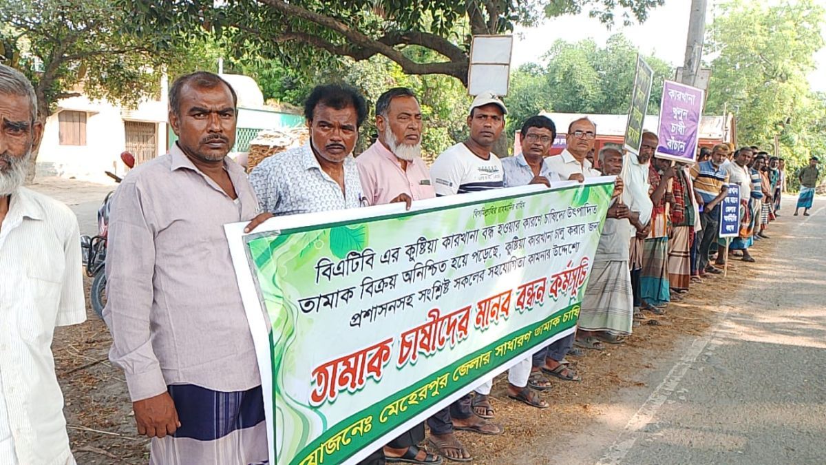 শ্রমিক অসন্তোষে কারখানা বন্ধ, পথে বসার শঙ্কায় তামাক চাষিরা