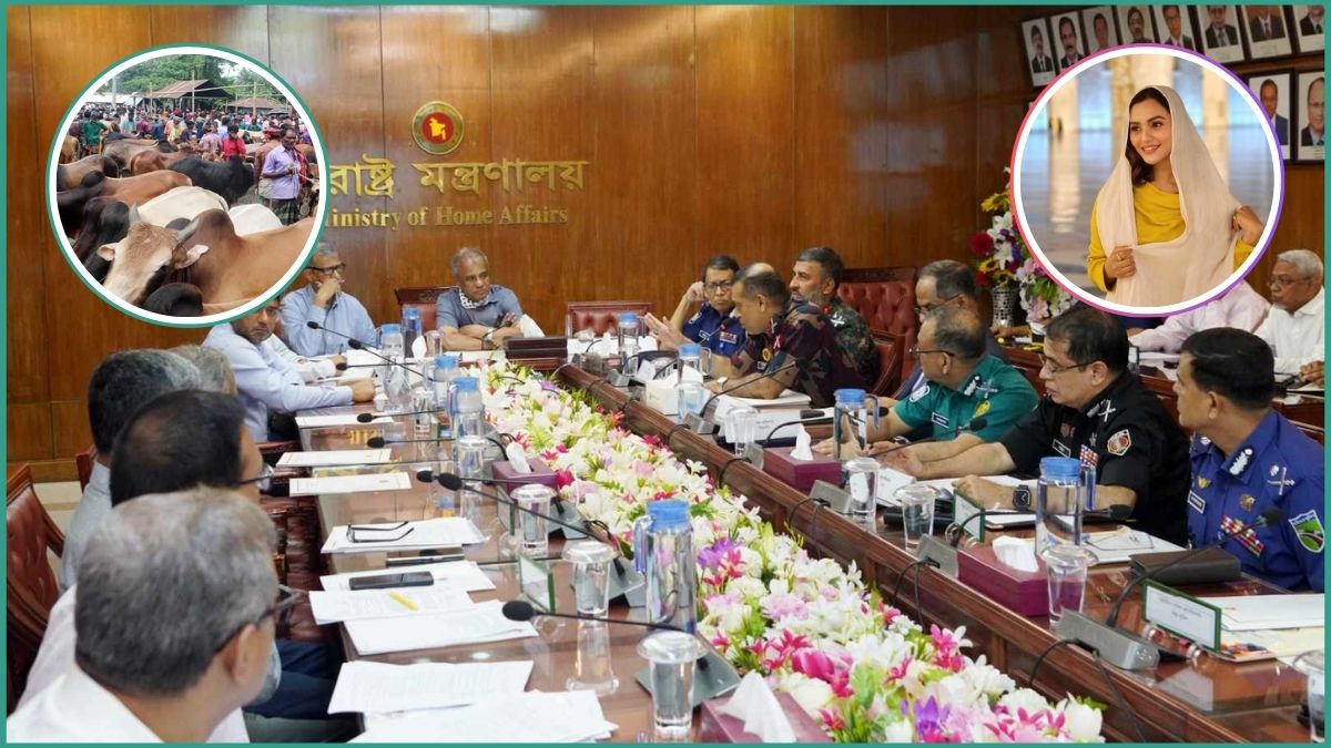 কোরবানির পশুর হাট ও ফারিয়াকে নিয়ে যা বললেন স্বরাষ্ট্র উপদেষ্টা