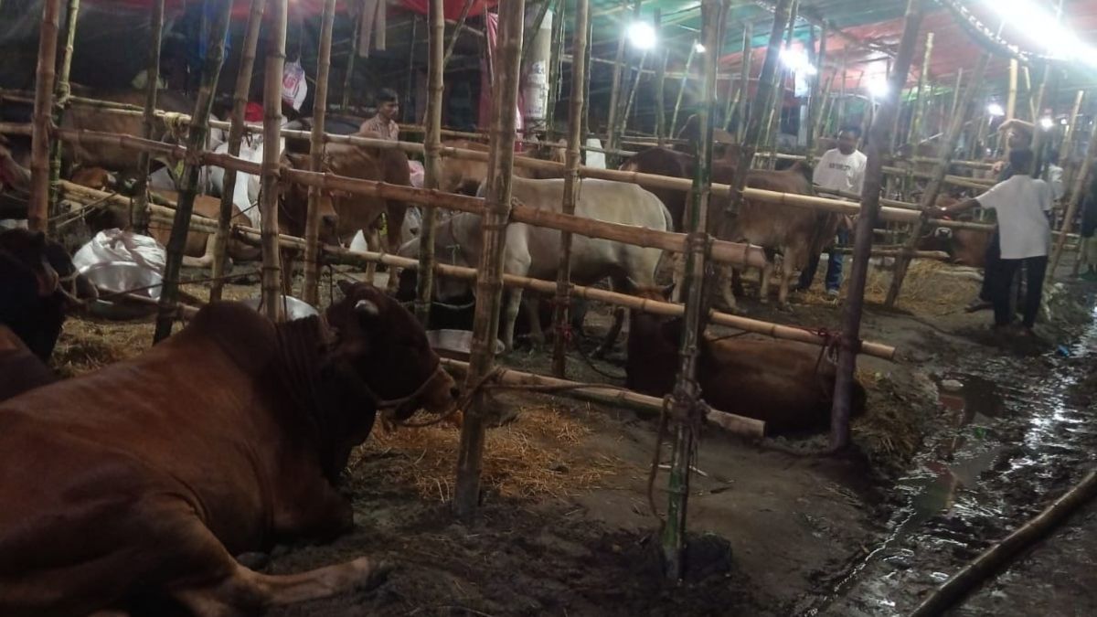 জমছেই না হাট, ক্রেতার অপেক্ষায় ব্যবসায়ীরা