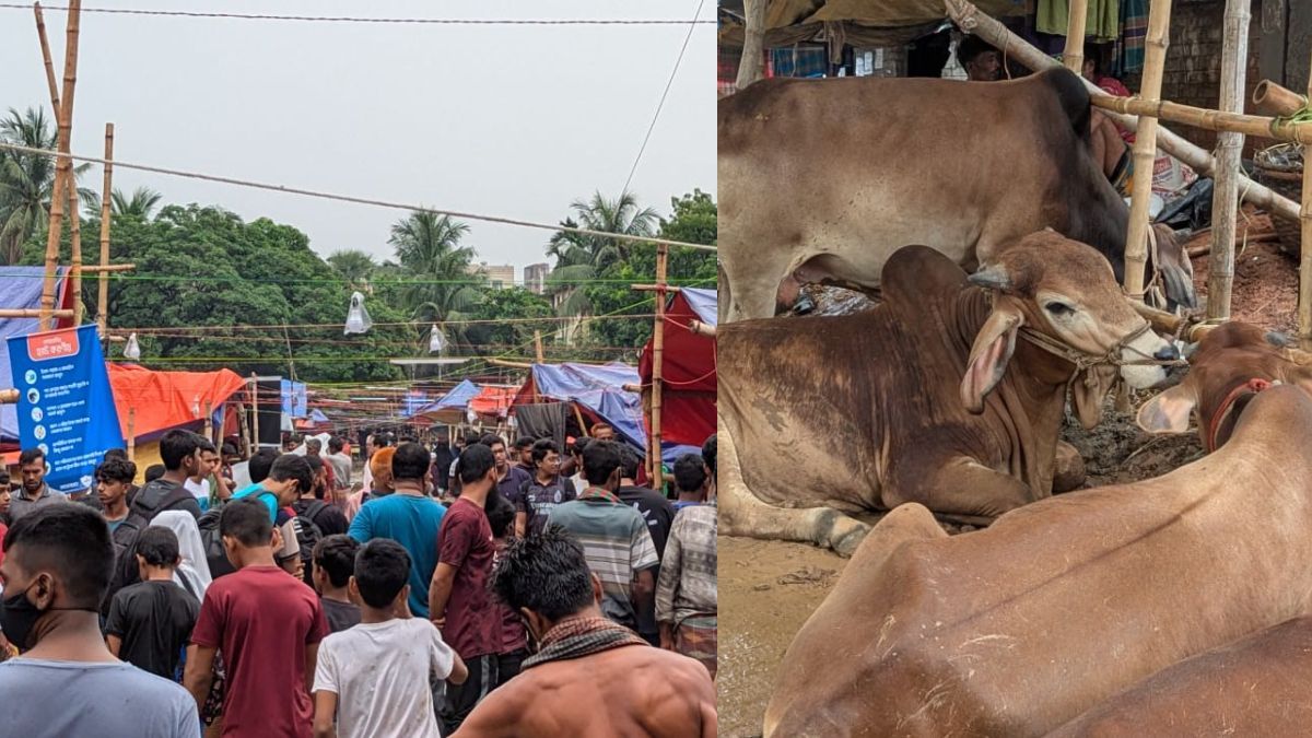 শাহজাহানপুর হাটে ভিড় বাড়লেও বেচাকেনায় ধীর গতি