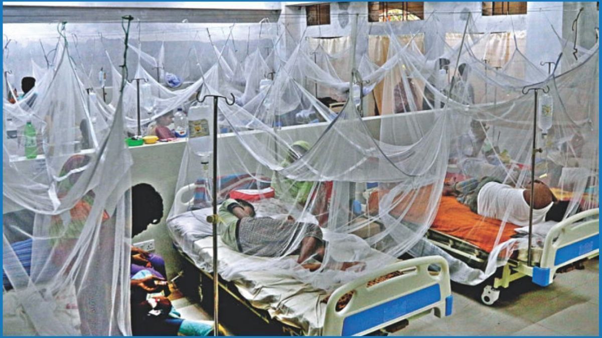 ২৪ ঘণ্টায় ডেঙ্গুতে আক্রান্ত  ৫৯ জন