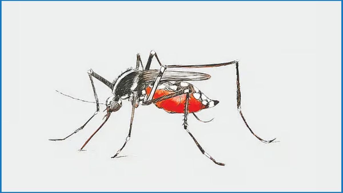 ডেঙ্গুতে একদিনে ৫ জনের মৃত্যু