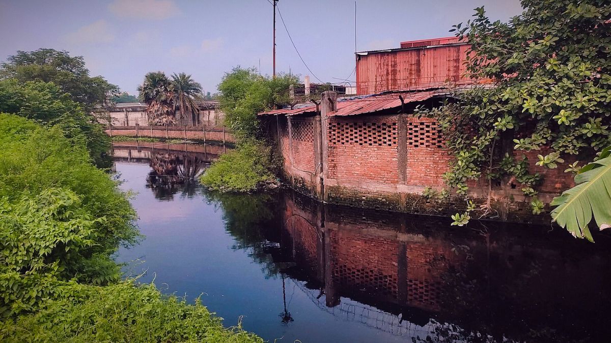 পরিবেশবান্ধব পুরস্কার পেল লবণদহ নদী দখল-দূষণকারী কারখানা