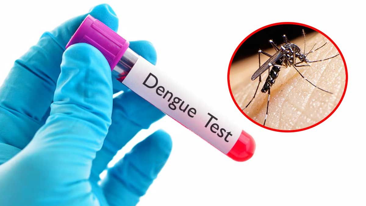 ডেঙ্গুতে আরও একজনের মৃত্যু, আক্রান্ত ২৬২