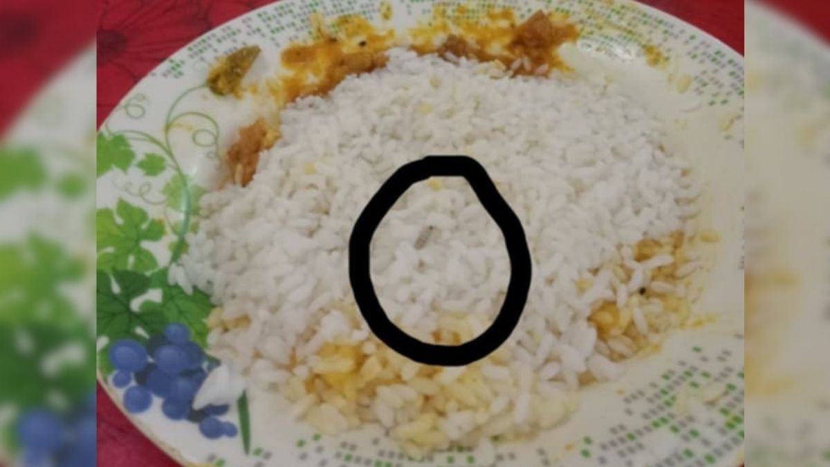 বেরোবির মুখতার ইলাহী হলে খাবারে পোকা, শিক্ষার্থীদের ক্ষোভ