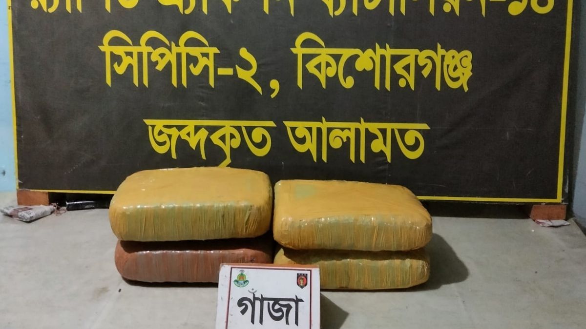 কিশোরগঞ্জে ১১ কেজি গাঁজাসহ দুই মাদক কারবারি গ্রেপ্তার