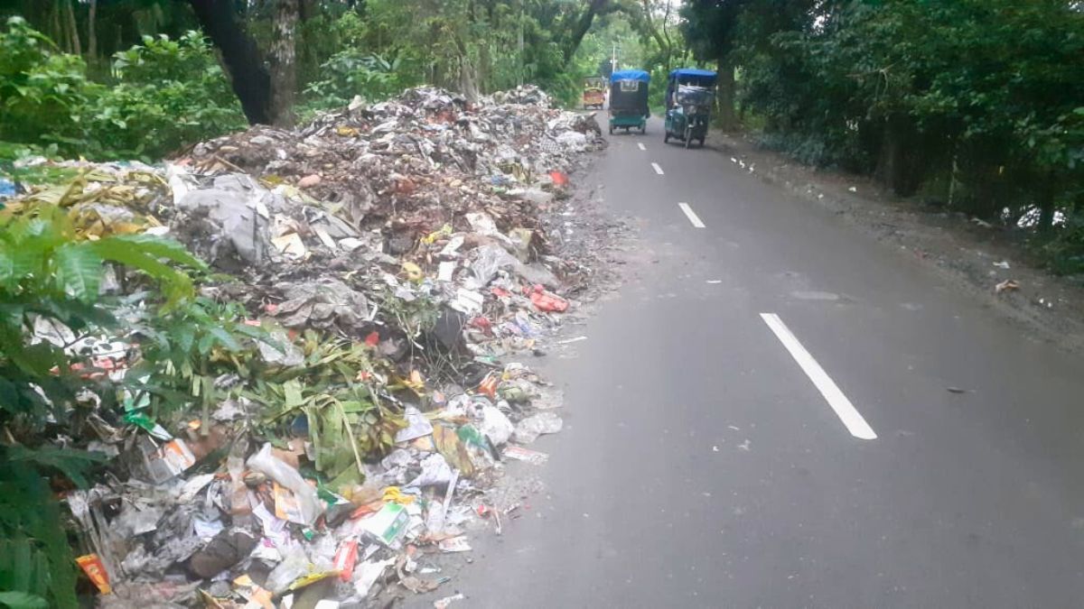 সড়কের পাশে ময়লার স্তূপ, দুর্গন্ধে অতিষ্ঠ লালমোহন শহরবাসী