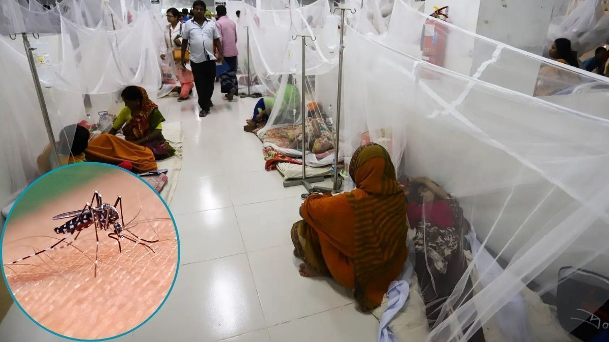 ২৪ ঘণ্টায় ডেঙ্গুতে মৃত্যু ১, আক্রান্ত ৪০৬