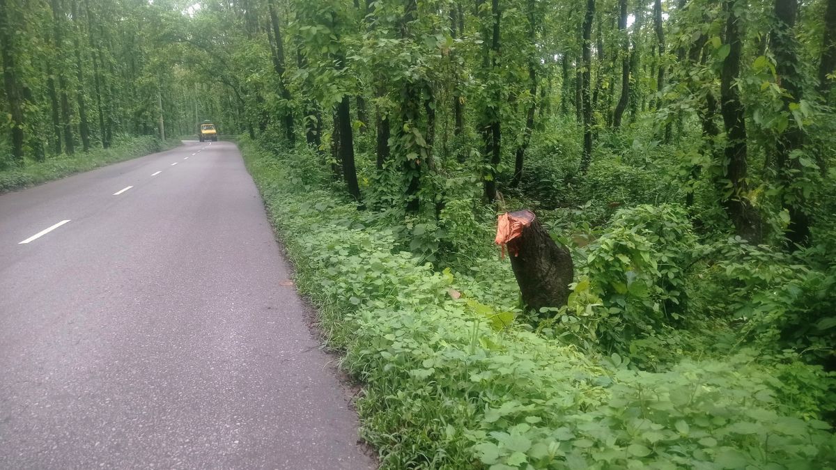 রাত নামলেই মাওনা-কালিয়াকৈর সড়কে ডাকাতি-ছিনতাই আতঙ্ক