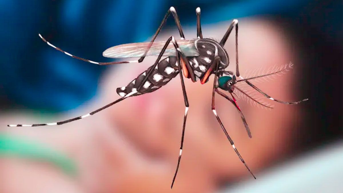 ২৪ ঘণ্টায় মৃত্যু ৩, হাসপাতালে ভর্তি ৩৩১