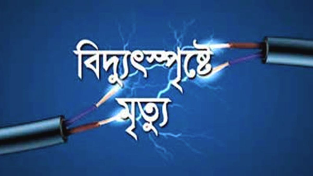 গাইবান্ধায় খামারে বিদ্যুতের ফাঁদে কিশোরের মৃত্যু