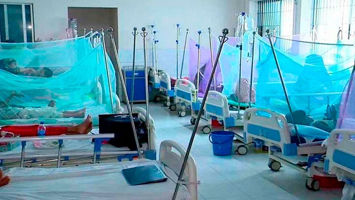 দেশে ডেঙ্গুর প্রকোপ বাড়ছে, এক সপ্তাহে মৃত্যু ৮