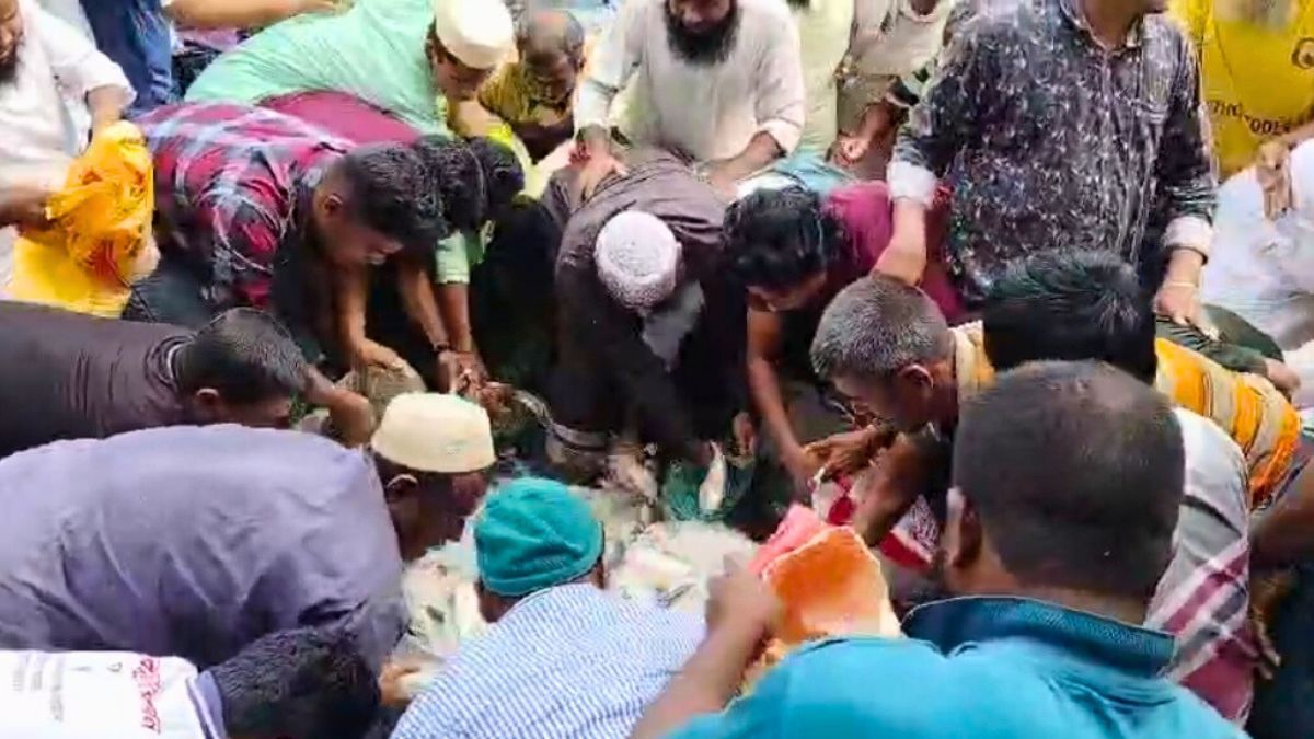 বরগুনায় ১৫০০ কেজি জাটকা ইলিশ লুট, এলাকায় চাঞ্চল্য