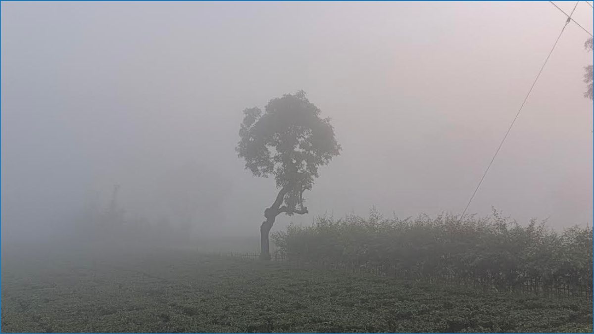 পঞ্চগড়ে ১২ ডিগ্রিতে নামল তাপমাত্রা
