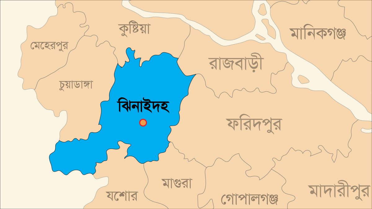 ঝিনাইদহে ইজিবাইক দুর্ঘটনায় যুবক নিহত