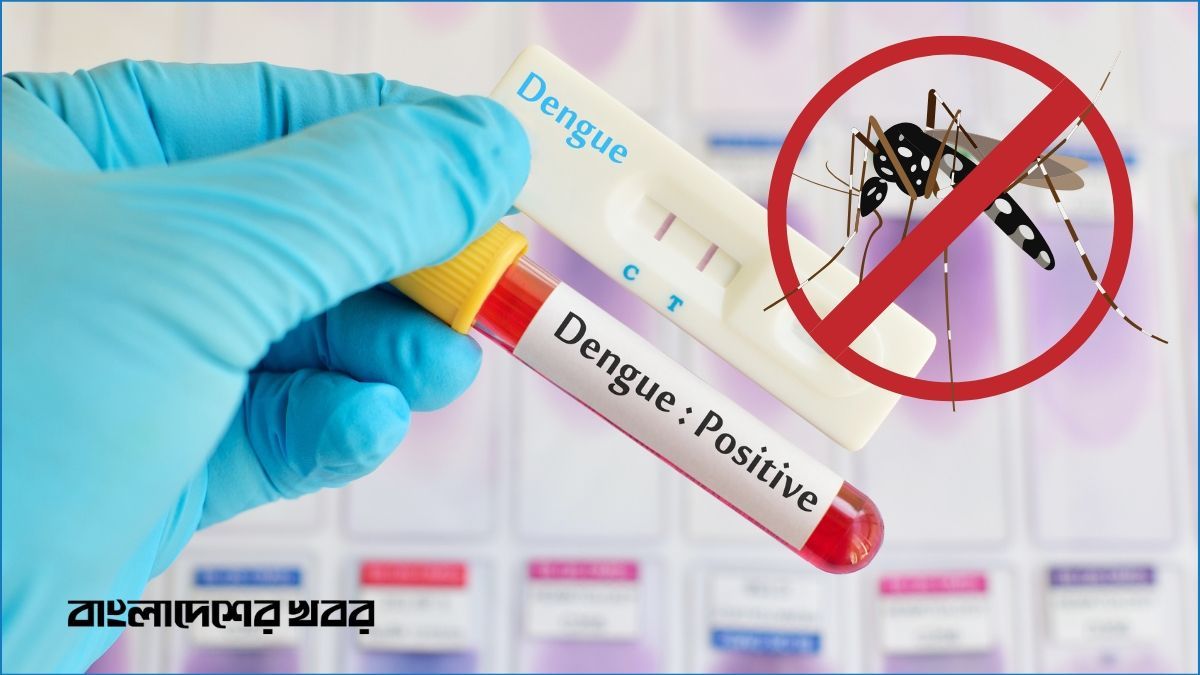 ডেঙ্গুতে আরও ৩ জনের মৃত্যু