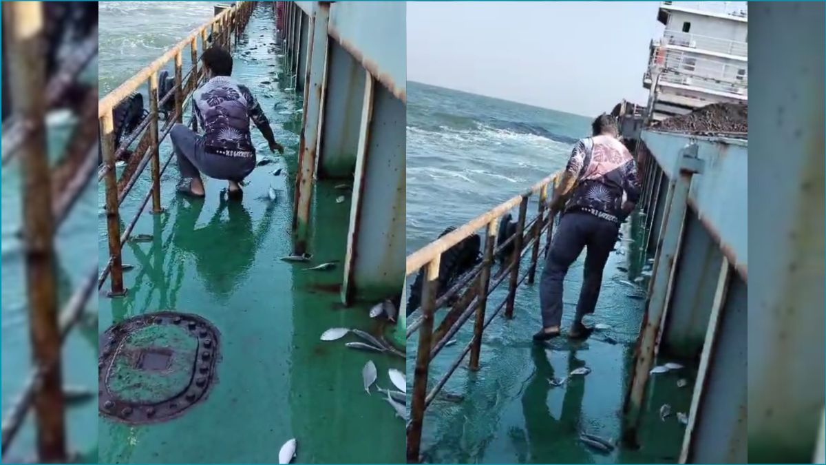 কয়লাবাহী জাহাজে লাফিয়ে উঠল ৩ মণ ইলিশ