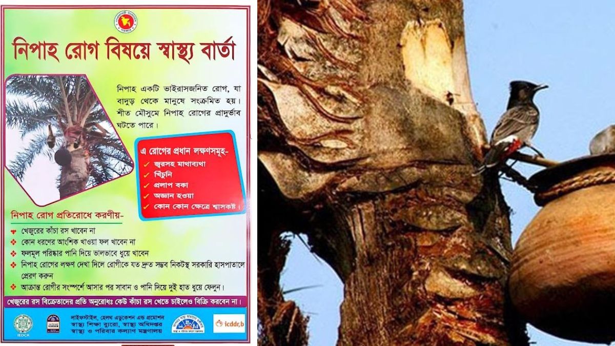 শীতের শুরুতে নিপাহ ভাইরাস সতর্কতায় স্বাস্থ্য বিভাগের নির্দেশনা