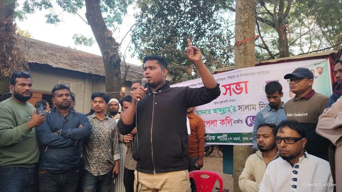 ৩০ হাজার আ.লীগ নেতাকর্মীকে ভারত আশ্রয় দিয়েছে : হাসনাত