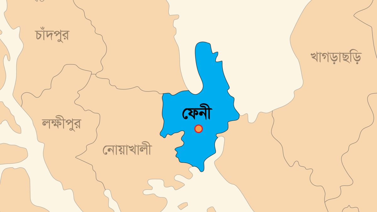 ফেনীতে বিশেষ অভিযানে গ্রেপ্তার ১২