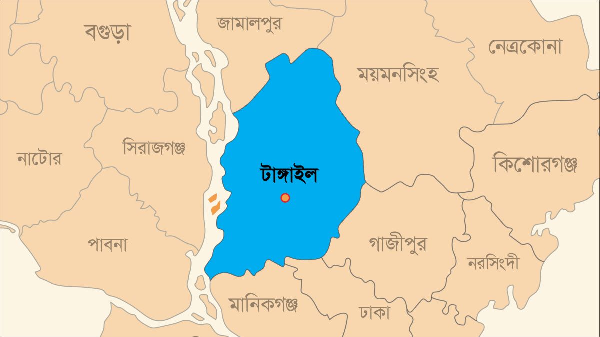 সখীপুরে সিএনজি অটোরিকশা উল্টে কৃষক নিহত