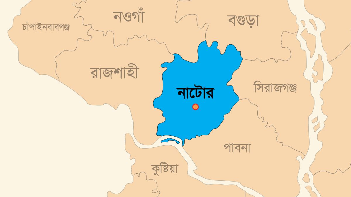 নাটোরে বিএনপি নেতা হত্যার জের : আ.লীগ নেতার বাড়িতে অগ্নিসংযোগে বৃদ্ধার মৃত্যু