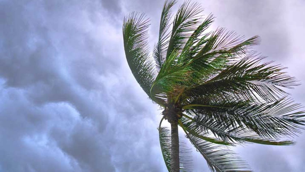 ঢাকাসহ ১৯ জেলায় কালবৈশাখীর শঙ্কা, কমছে তাপমাত্রা