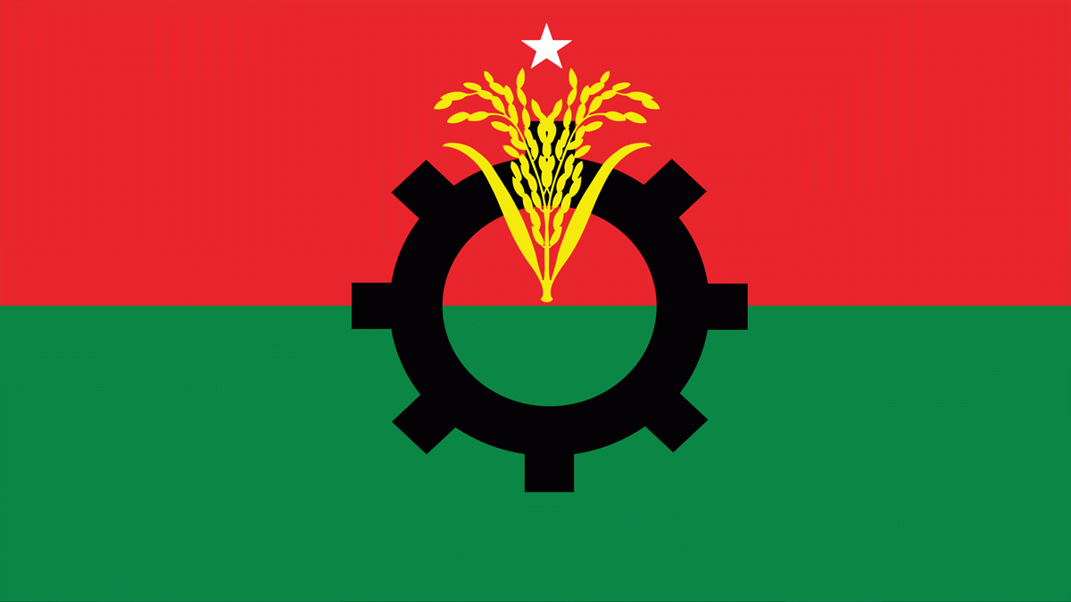 দল পুনর্গঠনে জোর বিএনপির