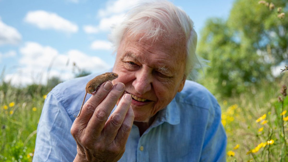শতবর্ষে রাজা-রানির ভালোবাসা শিক্ত স্যার ডেভিড অ্যাটেনবরো
