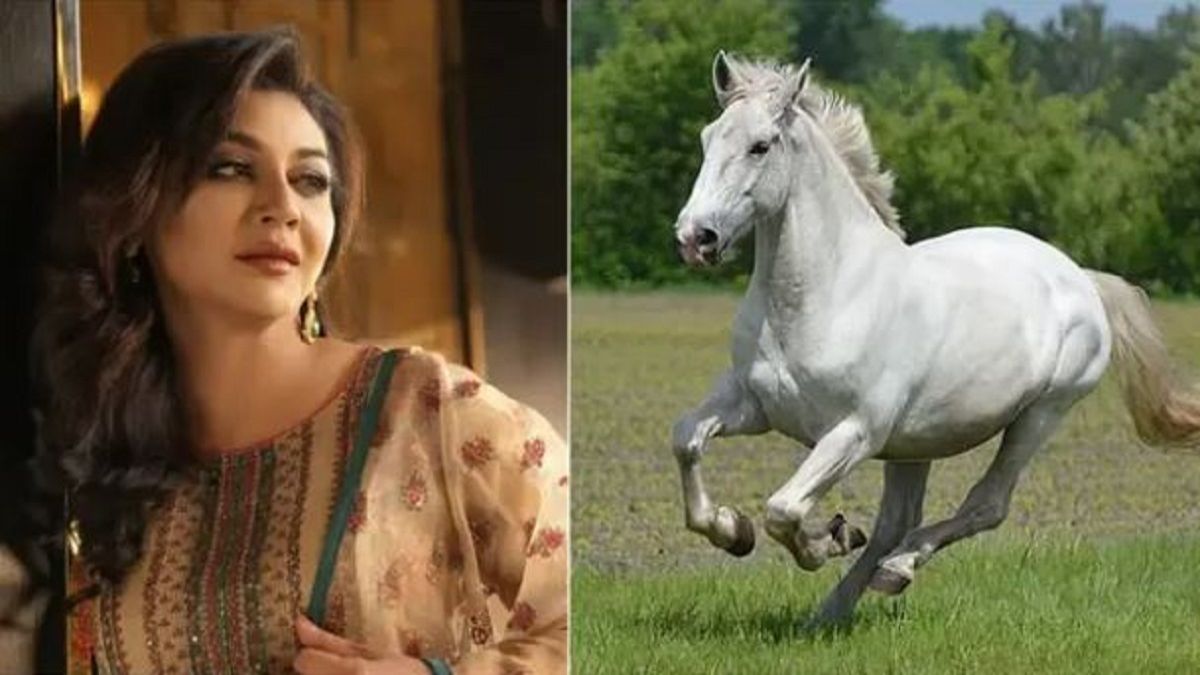 ঘোড়ার মাংসের অবৈধ বাণিজ্য বন্ধে হাইকোর্টে জয়া আহসানের রিট