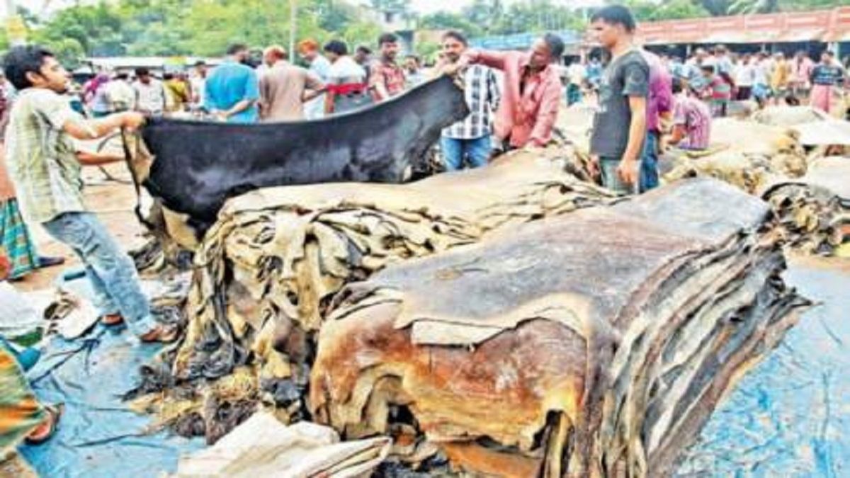 চামড়ার নতুন দাম নির্ধারণ : ঢাকায় বর্গফুট প্রতি ৬২-৬৭, বাইরে ৫৭-৬২ টাকা