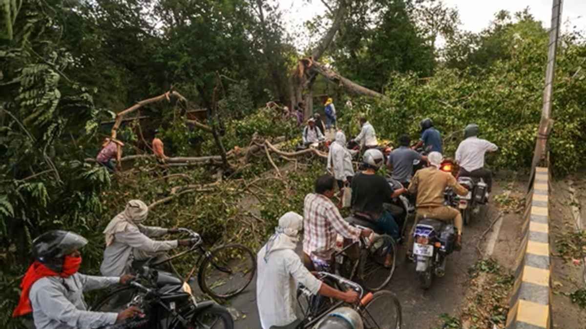 ভারতে শক্তিশালী ঝড়ের তাণ্ডবে নিহত বেড়ে ১১১
