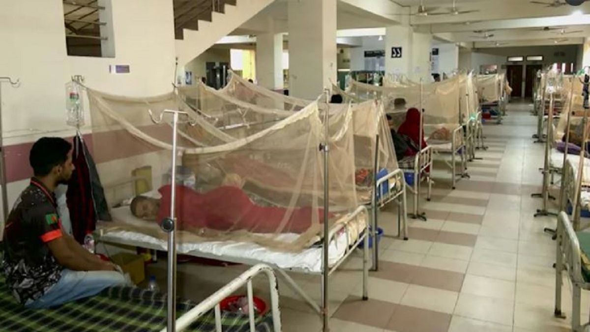 ২৪ ঘণ্টায় ডেঙ্গুতে আরও একজনের মৃত্যু, হাসপাতালে ভর্তি ১১৩