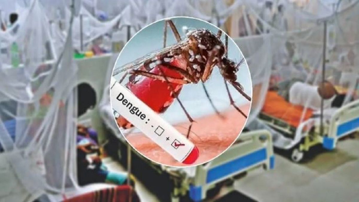 ডেঙ্গুতে আরও ৩ জনের মৃত্যু, আক্রান্ত ২৫১