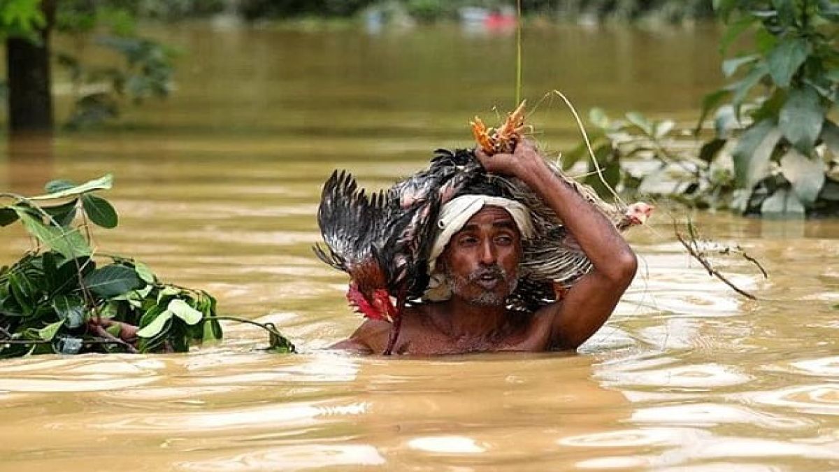 মানবতার ডাক ও আমাদের করণীয়