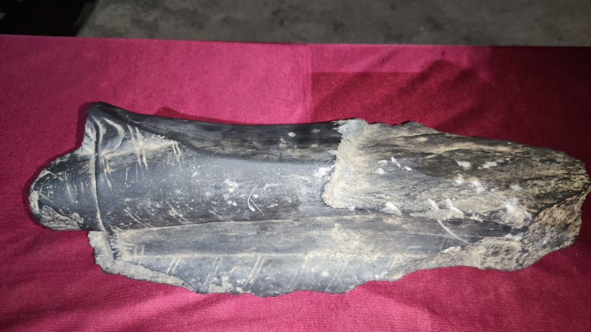 ঠাকুরগাঁওয়ে বিজিবির অভিযানে ৭  কেজি কষ্টি পাথর জব্দ, আটক ২