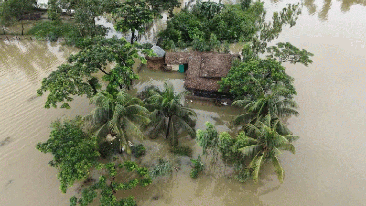 ৫৯ উপজেলা বন্যাকবলিত, মৃত্যু ৫৪ জনের: দুর্যোগ ব্যবস্থাপনামন্ত্রী