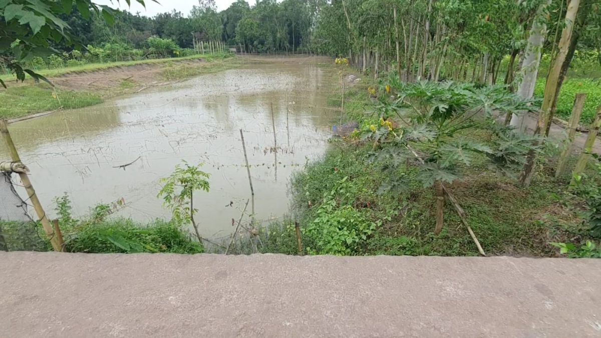 কিশোরগঞ্জে কালভার্ট বন্ধ করে  বিএনপি নেতার মাছ চাষ