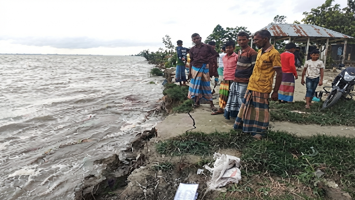 যমুনার ভয়াবহ ভাঙনে বিলীন হচ্ছে   ঘরবাড়ি-ফসলি জমি