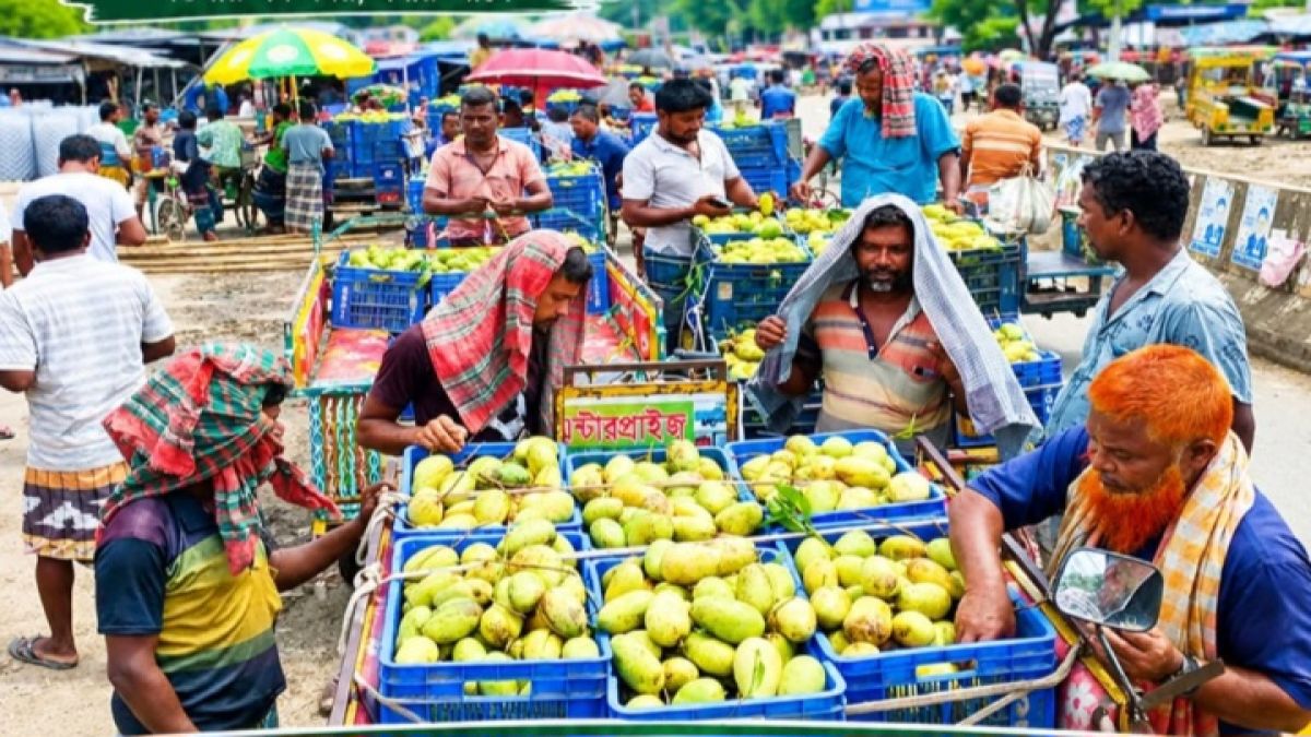 সাপাহারে এখনো মিলছে  বারোমাসি  কাটিমন সুস্বাদু আম