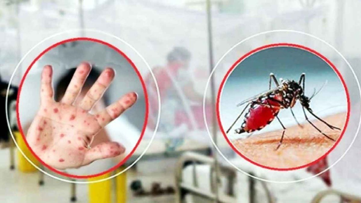 ভয়ঙ্কর রূপে ডেঙ্গু, থামছে না হামও